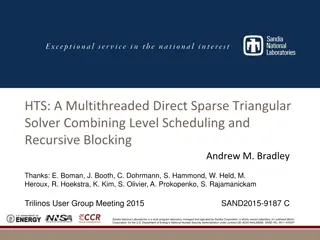 HTS: A Multithreaded Direct Sparse Triangular Solver