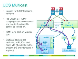 UCS Multicast