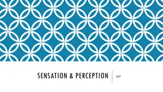 SENSATION & PERCEPTION