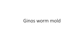 Ginos worm mold