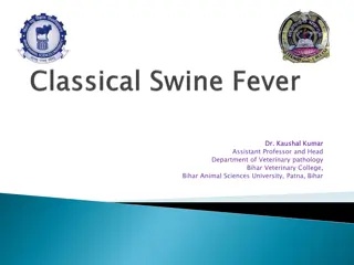 Understanding Swine Fever: A Viral Disease in Swine Production