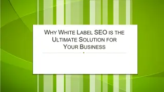 Why White Label SEO is the Ultimate Solution for Your Business