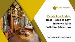 Pench Tree Lodge: Best Places to Stay in Pench for a Wildlife Adventure