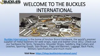 Luggage Strap & Seat Belt Adjuster at Buckles International