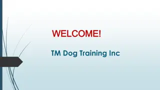 Best Puppy training in Cedar Grove