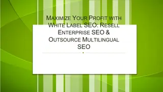 Maximize Your Profit with White Label SEO Resell Enterprise SEO & Outsource Multilingual SEO