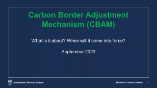 Carbon Border Adjustment Mechanism (CBAM)