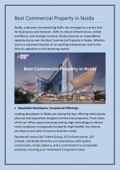 Best Commercial Property In Noida