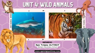 Explore the Fascinating World of Wild Animals and Their Habitats!