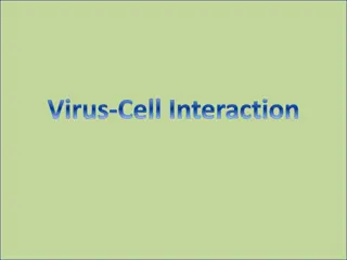 Virus-Cell Interactions: Mechanisms and Consequences