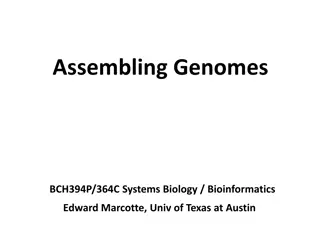 Insights into Genome Assembly and Shotgun Sequencing