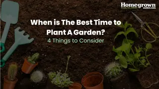 When is The Best Time to Plant A Garden
