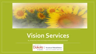 Low Vision Programs and Services