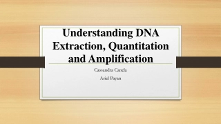 Understanding DNA Extraction, Quantitation and Amplification