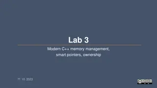 Modern C++ Memory Management and Smart Pointers in Programming Labs