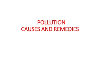 Pollution: Causes, Effects, and Remedies