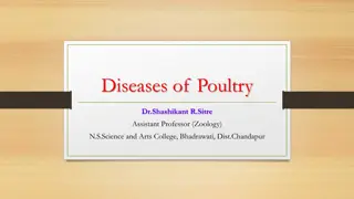 Overview of Poultry Diseases and their Causes