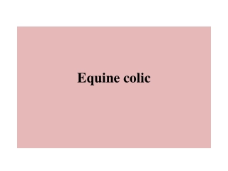 Equine colic