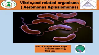 Vibrio and Related Organisms in Medical Bacteriology