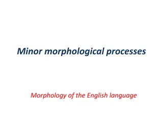 Minor Morphological Processes in English Language