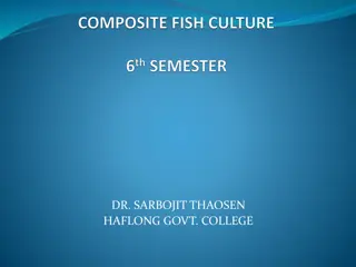 Composite Fish Culture for Increased Productivity