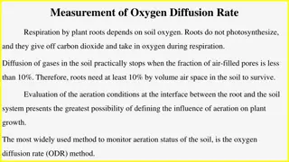 Oxygen Diffusion Rate Measurement in Plant Roots