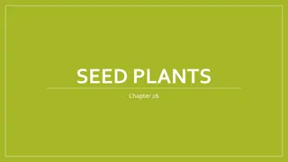 Seed Plant Diversity and Adaptations