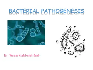 Bacterial Pathogenesis: Key Concepts and Factors