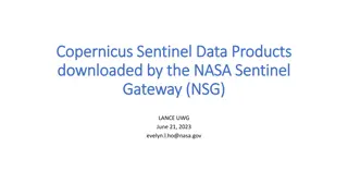 Latency in Sentinel-1A Standard Products