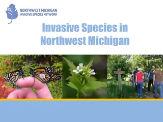 Invasive Species in Northwest Michigan