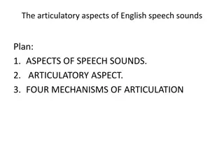 Articulatory Aspects of English Speech Sounds