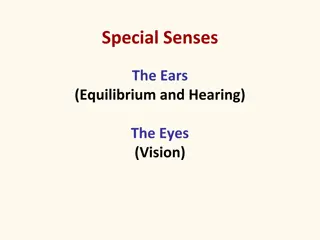 Special Senses: Ears, Eyes, and Sound Waves