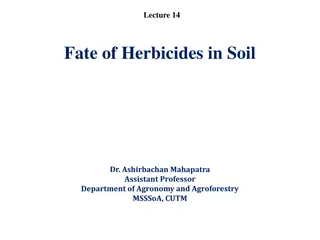 The Fate of Herbicides in Soil