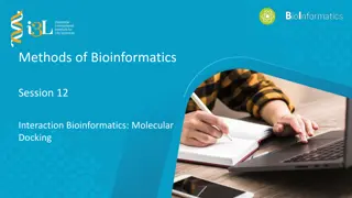 Molecular Docking in Bioinformatics