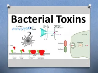 Bacterial Toxins and Cell Damage