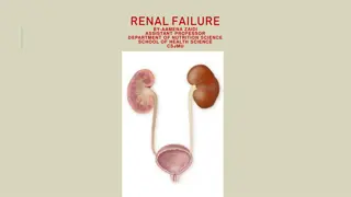 Kidney Failure: Causes, Symptoms, and Treatment Options