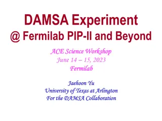 Dark Sector Particles at Fermilab PIP-II and Beyond