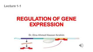 Gene Expression Regulation in Prokaryotes and Eukaryotes