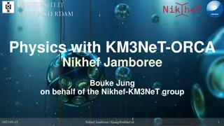 Neutrinos: Insights from Nikhef Jamboree