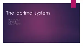 The lacrimal system