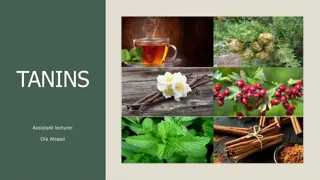 Tannins: Properties, Classification, and Medicinal Uses