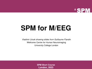 SPM for M/EEG