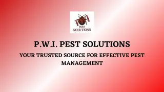 Safe and Efficient Wasps Control In Maine