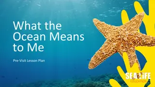 Ocean: Pre-Visit Lesson Plan