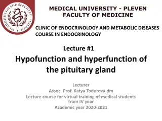 Pituitary Gland Functions in Endocrinology Course