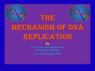 The Mechanism of DNA Replication