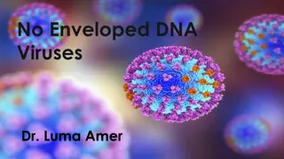Understanding No Enveloped DNA Viruses: Papillomaviruses and Polyomaviruses