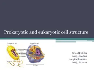 Prokaryotic and Eukaryotic Cell Structure