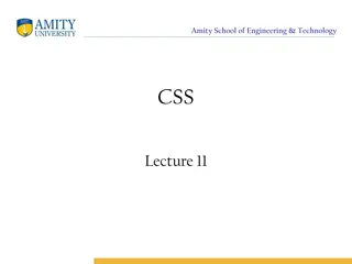 CSS in Amity School of Engineering & Technology