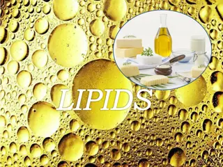 Lipids: Properties, Functions, and Types